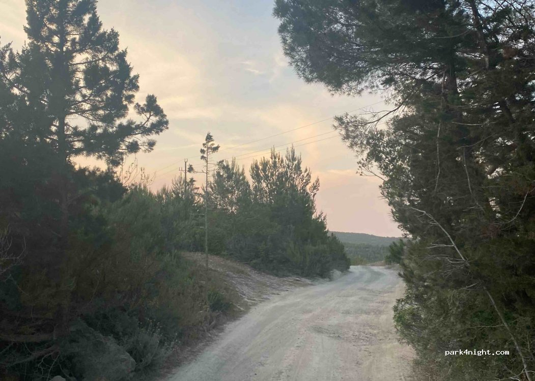 (07810) Sant Llorenç - — foto