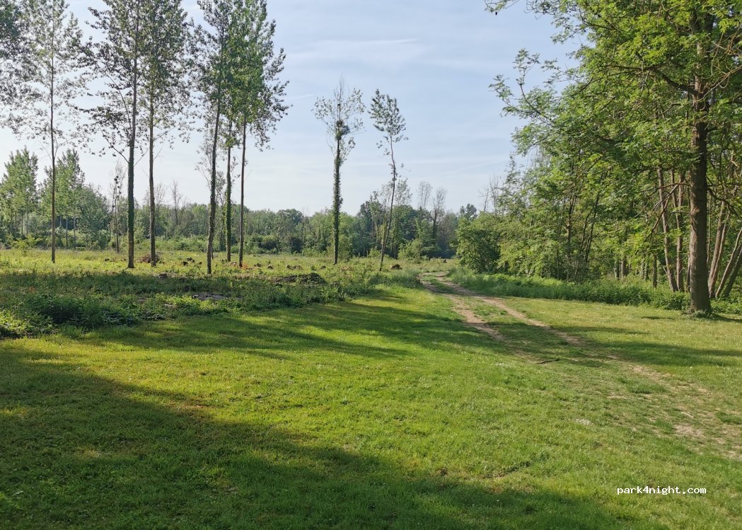 (51150) Vraux - 8 Rue Brigadier Général Searby — foto 3