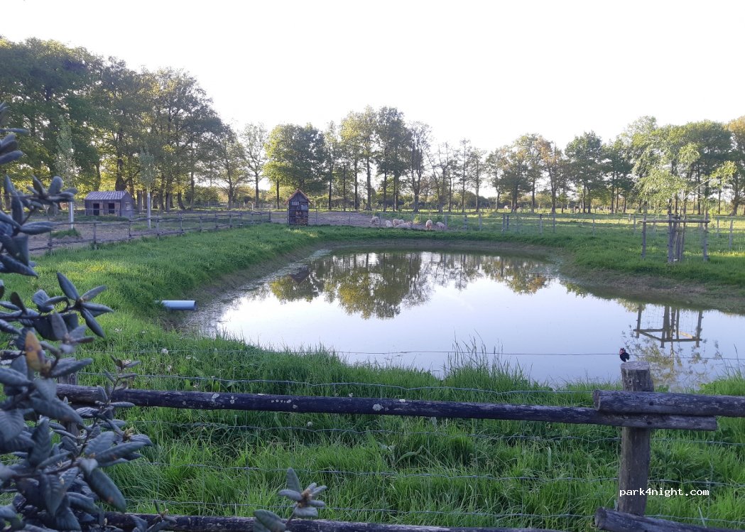Élevage et camping à la ferme de la Maison Neuve — foto 3
