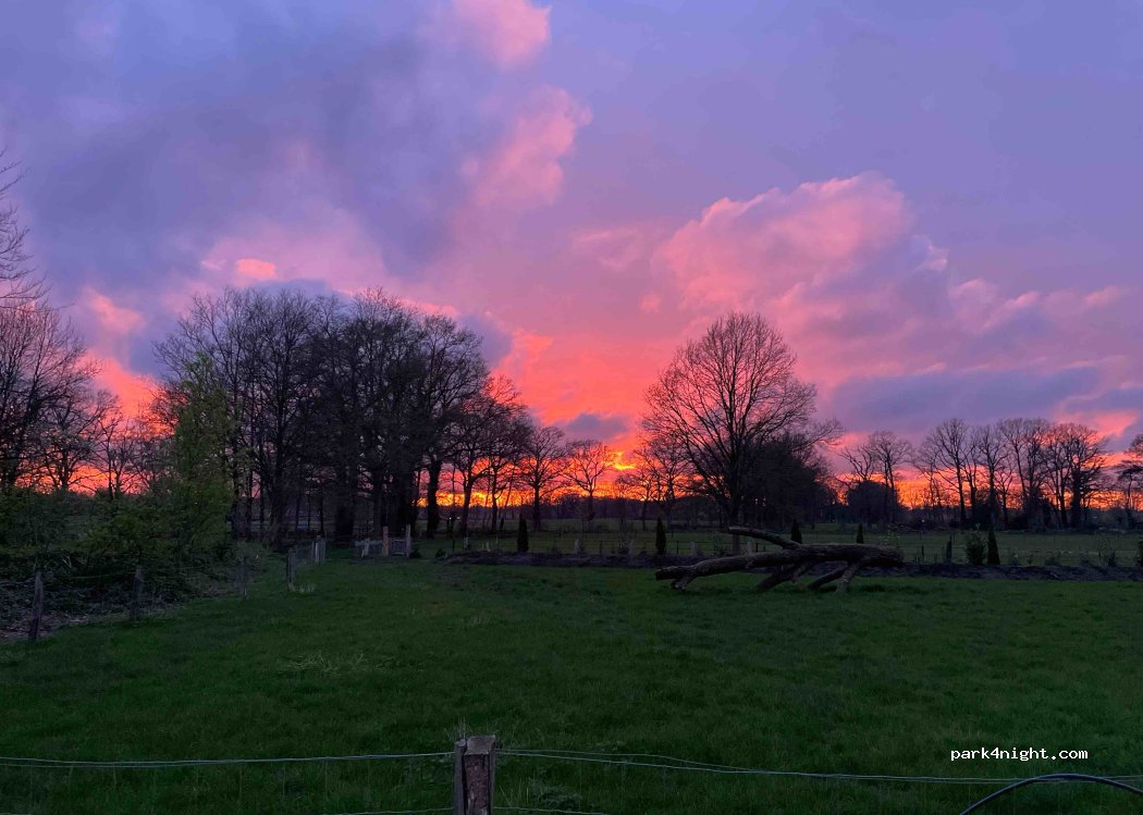 Schaapskudde en Belevenis Hof Achterhoek — foto 4