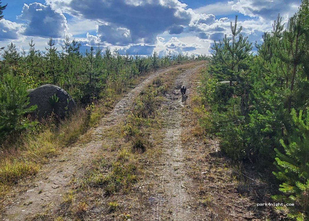 (680 60) Kärrbackstrand - 45 Tossjödammvägen — foto 3