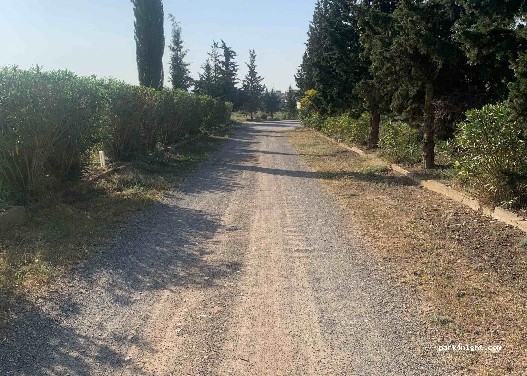 (22529) Miralsot - 93 Calle Magdalena — foto 3