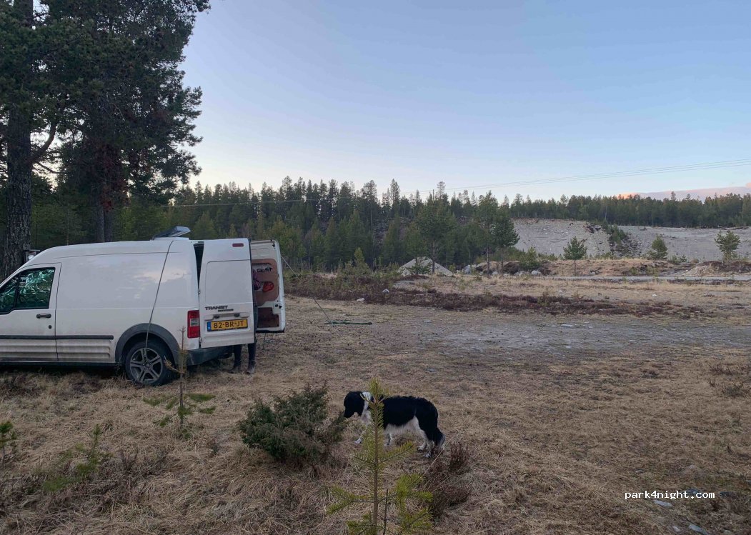 () Elgå - Fv221 — foto