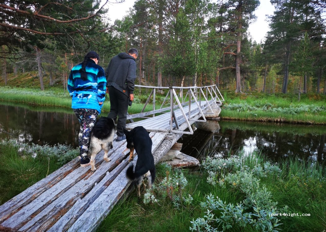 () Elgå - Fv221 — foto 3