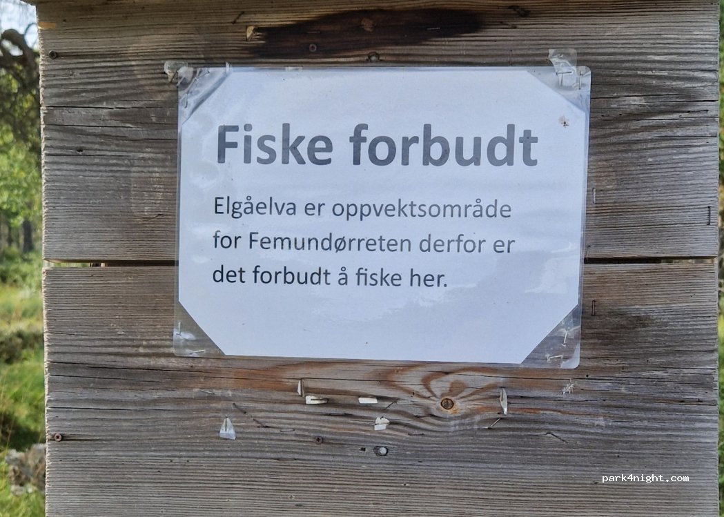 () Elgå - Fv221 — foto 4