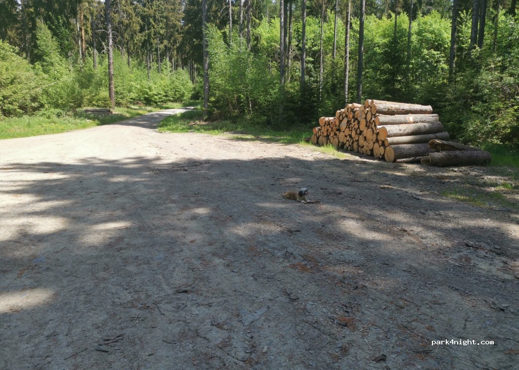 (08258) Markneukirchen - — foto