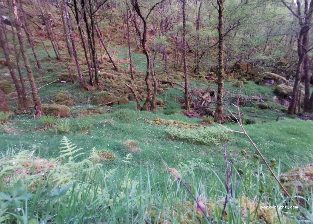 (5981) Masfjordnes - 12 Primær Fylkesvei 570 — foto