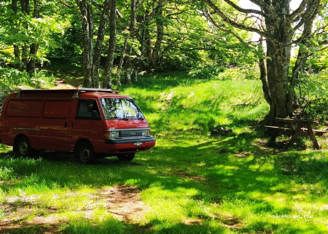 (63680) La Tour-d'Auvergne - — foto