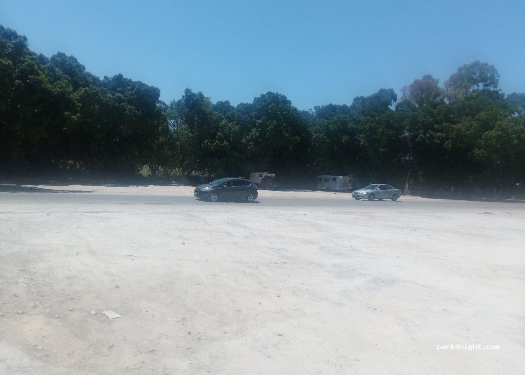 (90146) Palermo - 35 Viale Ercole — foto 3