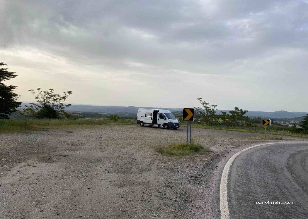 (5300) Nogueira - N206 — foto