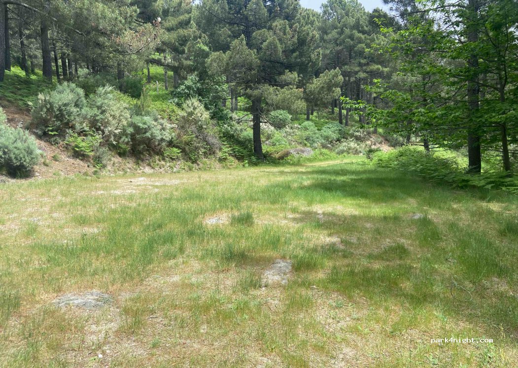(05416) El Arenal - Unnamed Road — foto