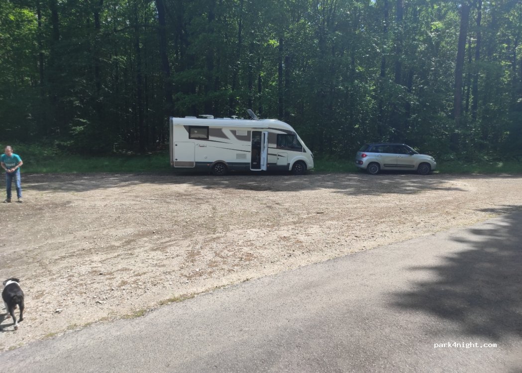 (61190) Tourouvre au Perche - 131 Route Forestière de Randonnai — foto