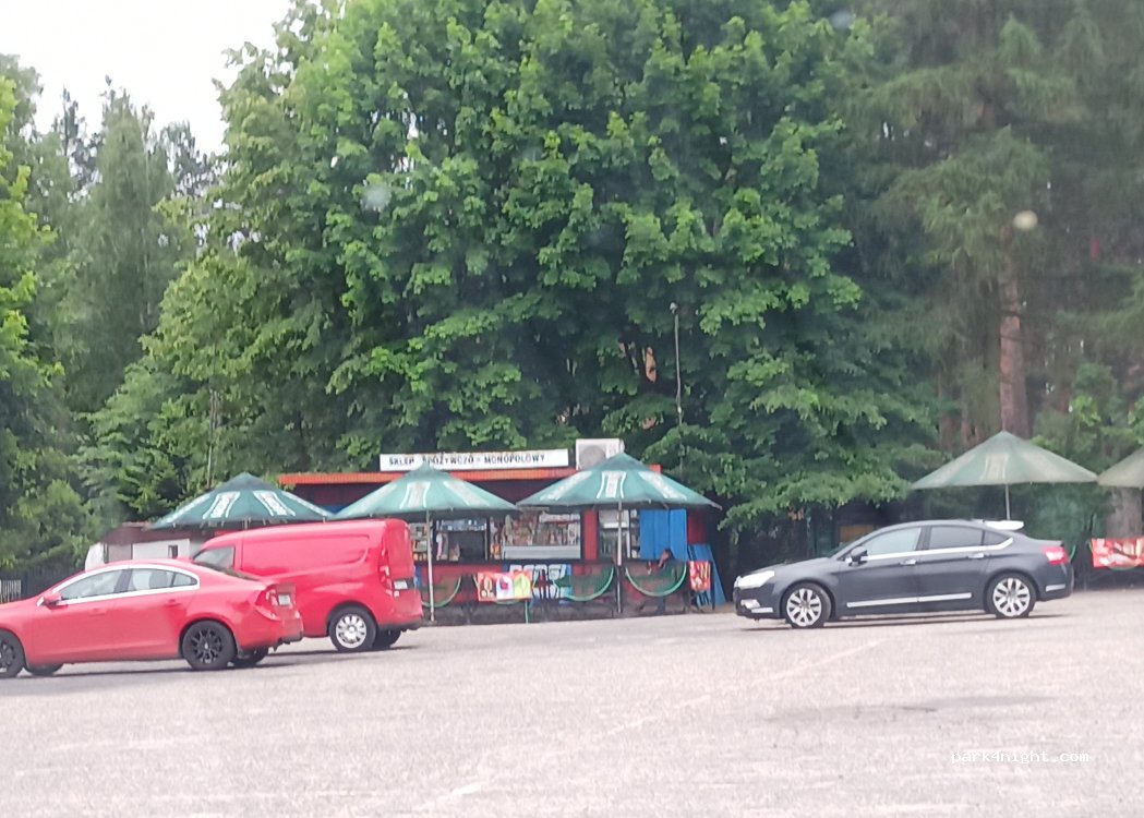(42) Boguchwałowice - Unnamed Road — foto 3