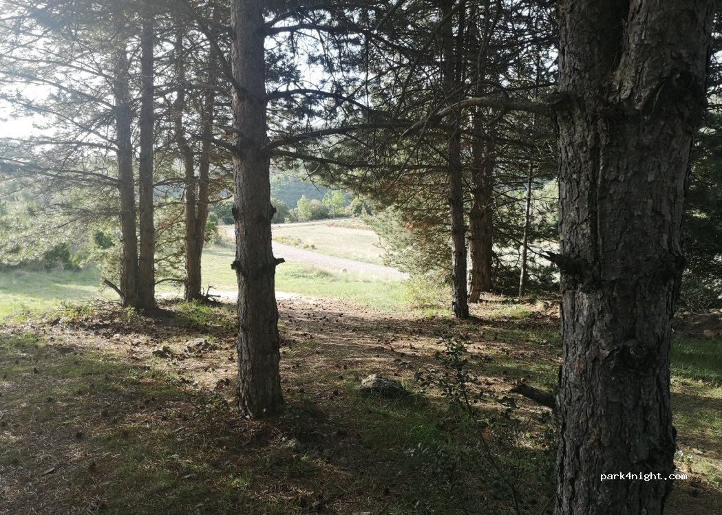 (25632) Sant Esteve de la Sarga - — foto