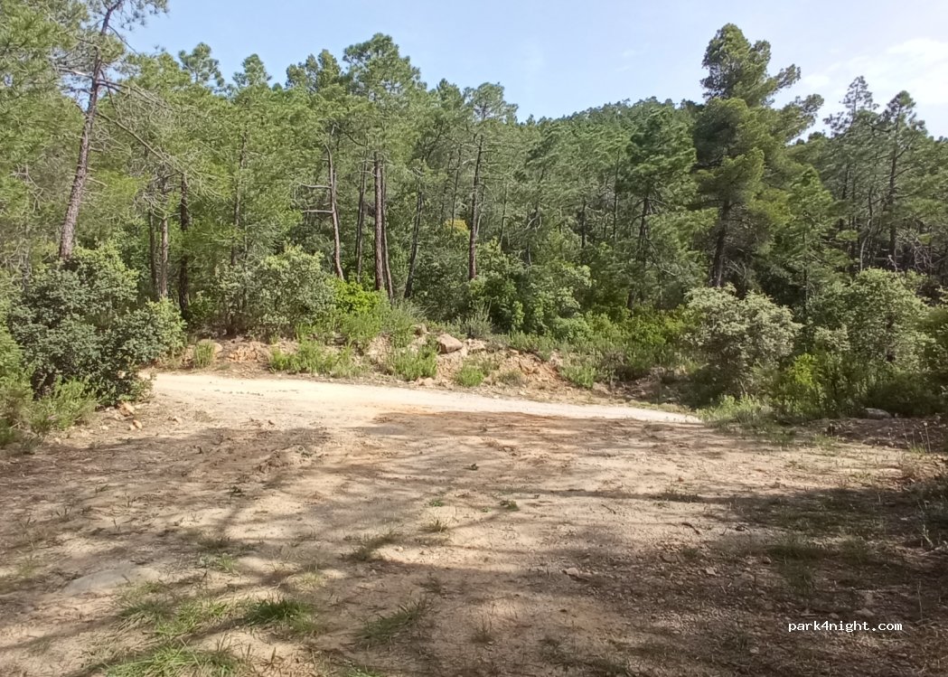 (12124) Vilafermosa del Riu - — foto 2