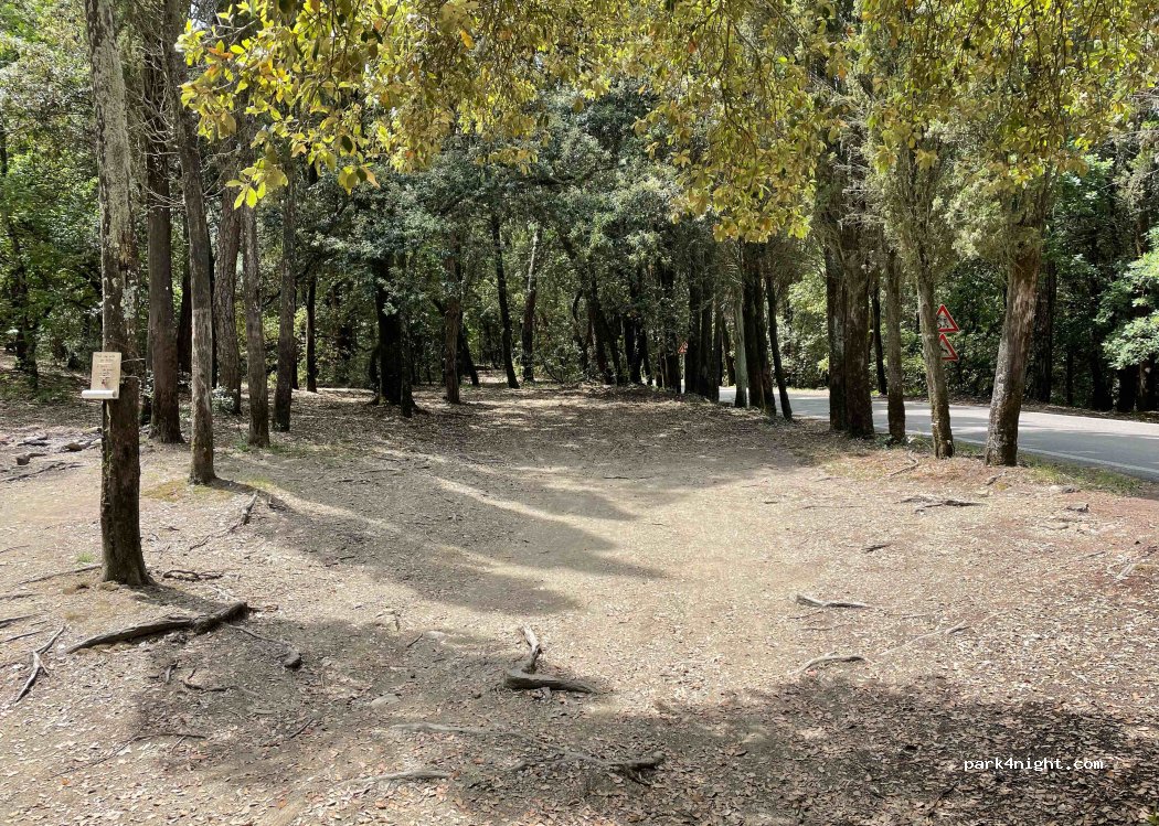 (50014) Fiesole - 2 Via Vincigliata — foto