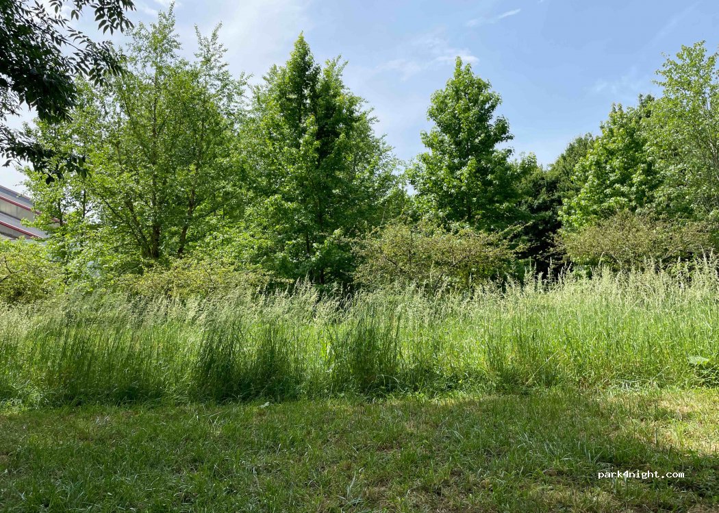 (36000) Châteauroux - 12 Rue de la Prairie — foto