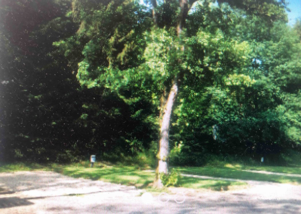 Camping de la Semois — foto