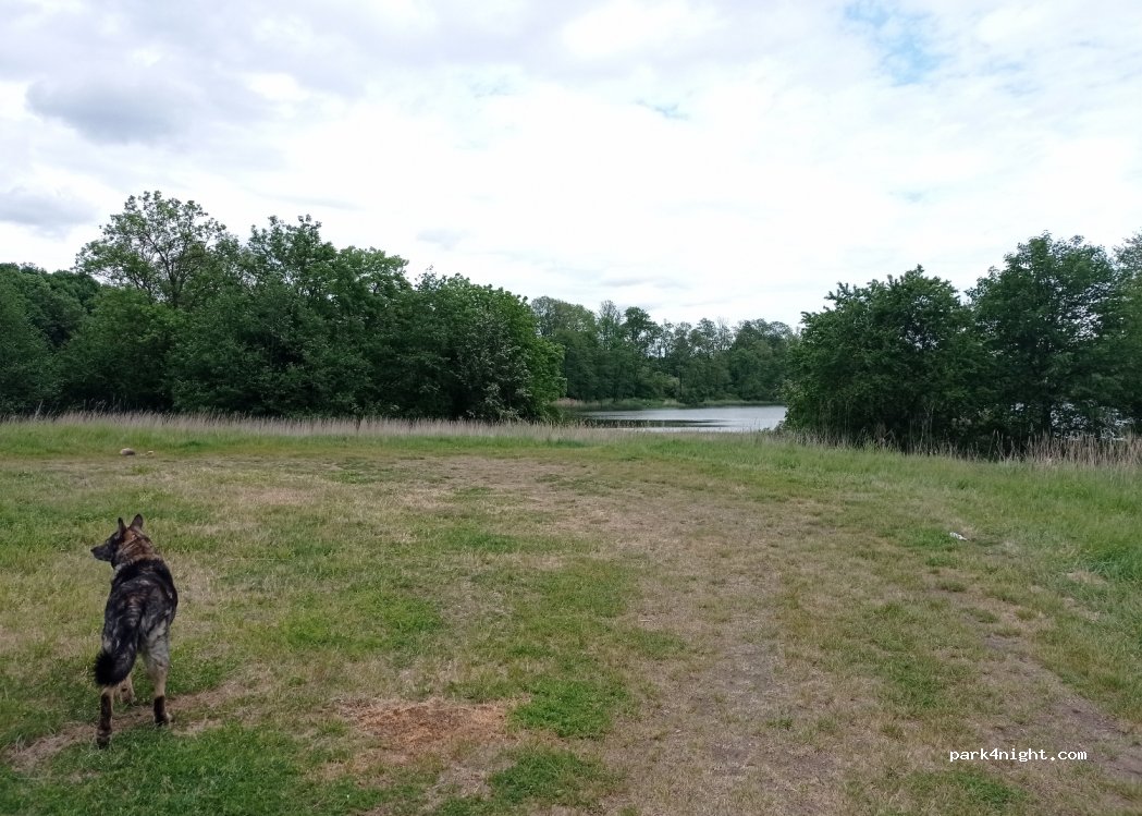 (62-006) Swarzędz - Czeremchowa — foto 2