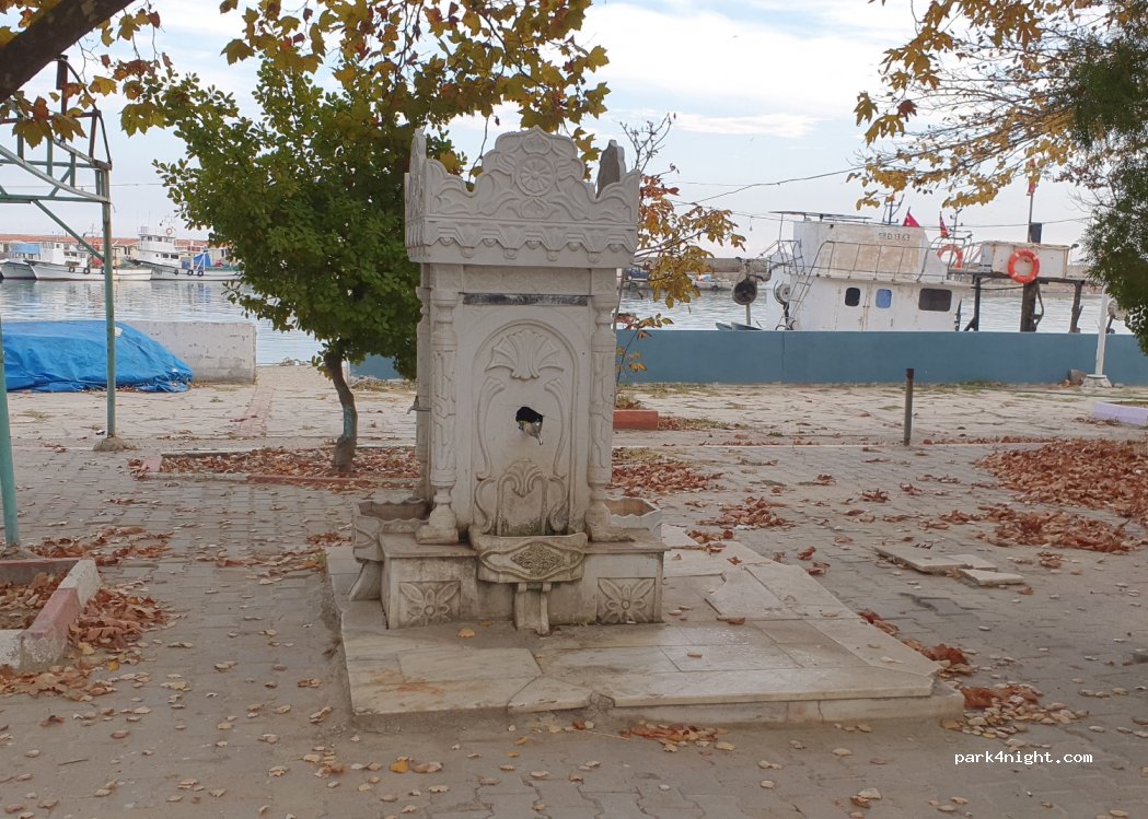 (59570) Şarköy - Hoşköy İç Yolu — foto 3