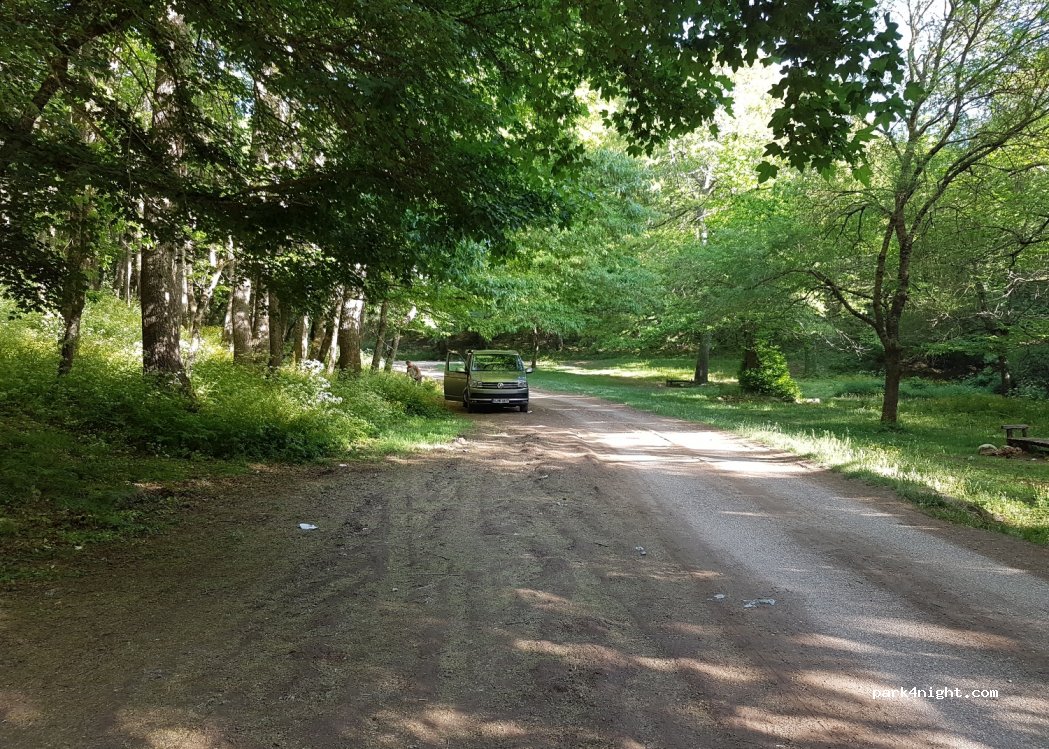 (71014) San Marco in Lamis - Strada Provinciale 22 — foto 2