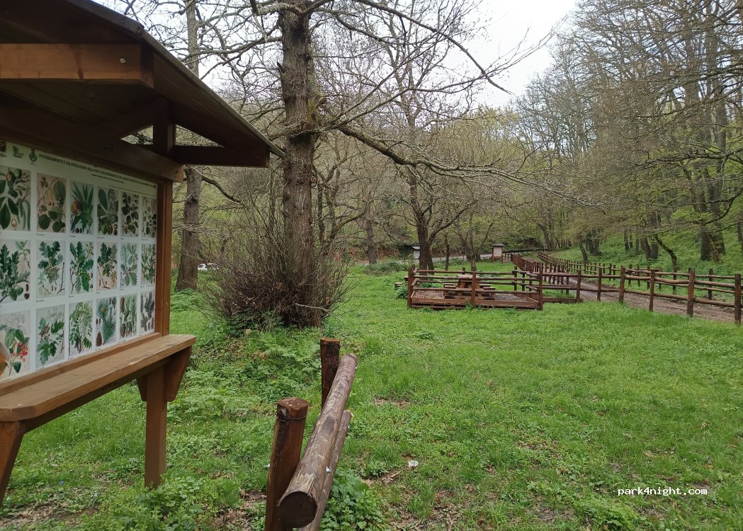 (71014) San Marco in Lamis - Strada Provinciale 22 — foto 5