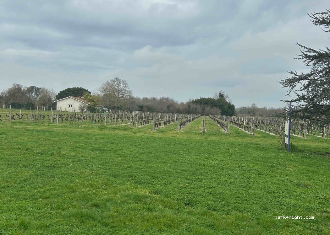 Château La Branne — foto 5