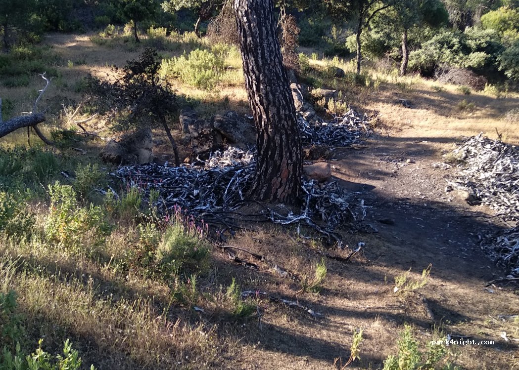 (28680) Pelayos de la Presa - — foto 4