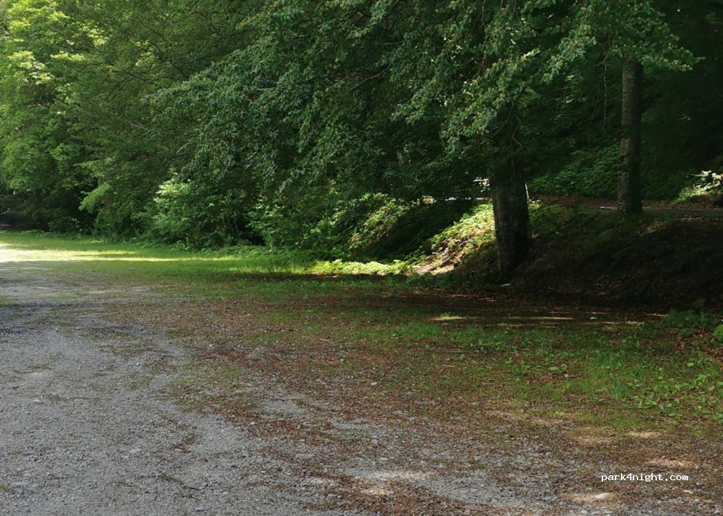(2643) Rilski Manastir - Unnamed Road — foto