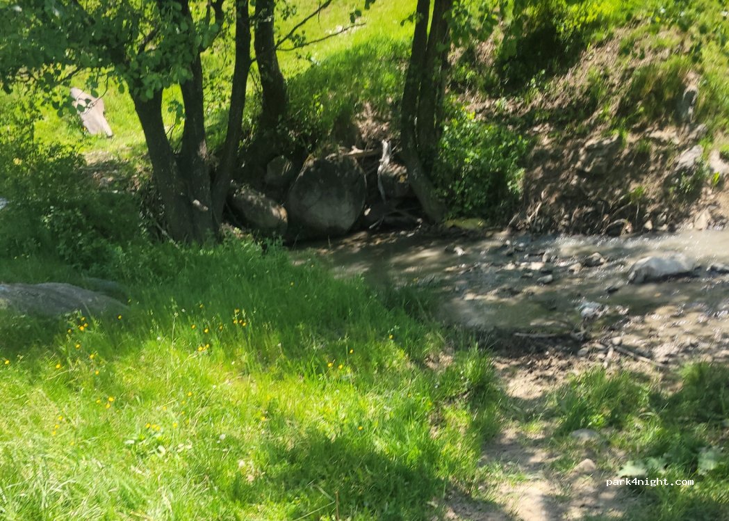(117283) Turburea - — foto 2