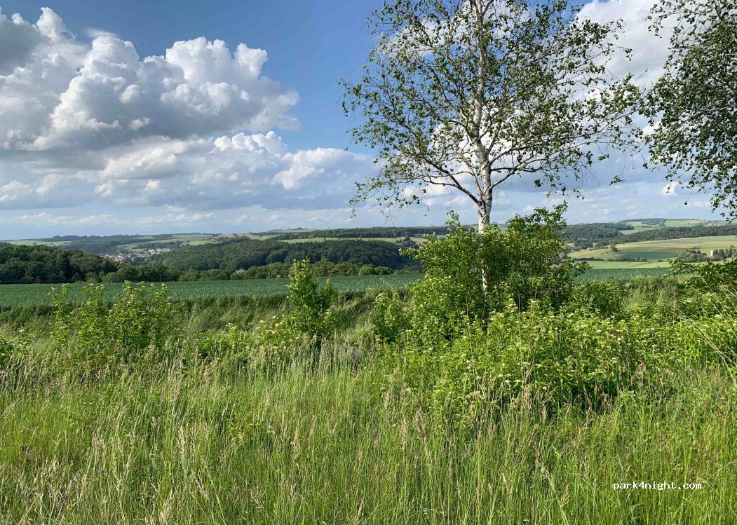 (66484) Walshausen - Unnamed Road — foto 4