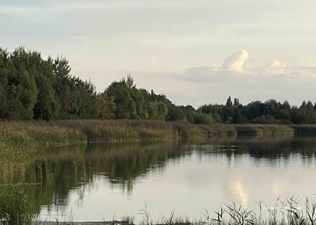 (64-919) Pniewo k Szczecinka - Unnamed Road — foto 2