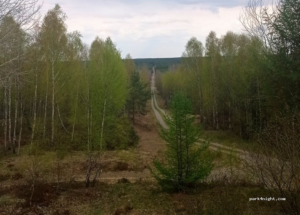 (78) Płytnica - — foto