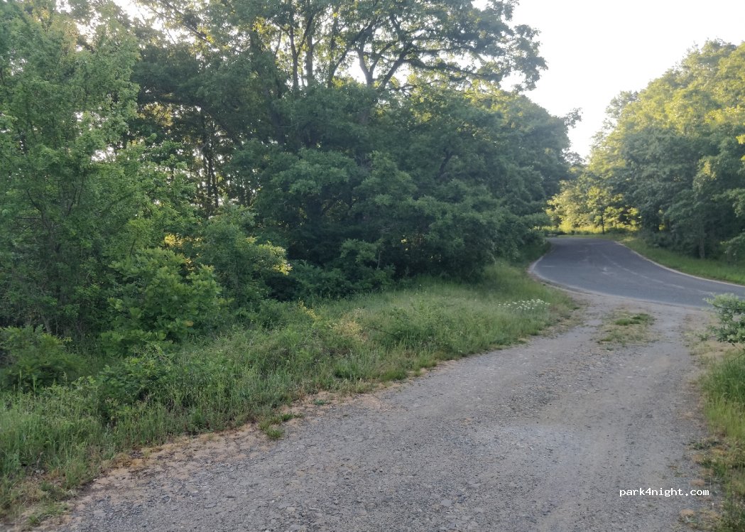 (8149) Indzhe Voivoda - Unnamed Road — foto 3