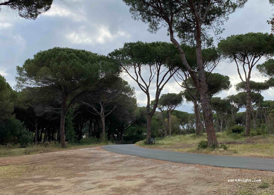 (57022) Marina di Castagneto Carducci - 12 Via Giacomo Puccini — foto 2