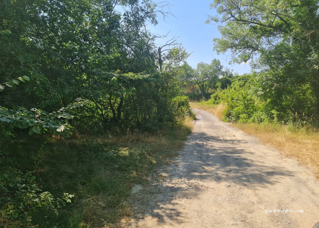 (07400) Alba-la-Romaine - Unnamed Road — foto