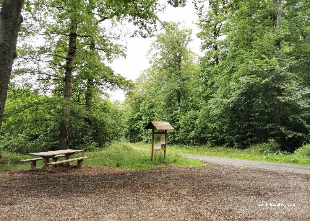 (72610) Villeneuve-en-Perseigne - 133 Route Forestière de Livet — foto