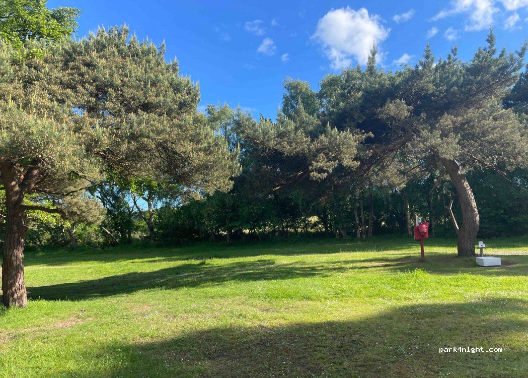 Burnbake Forest Lodges and Campsite — foto