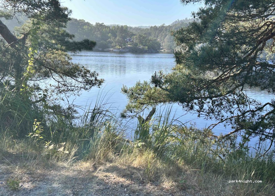 (4640) Søgne - Langenesveien — foto 3
