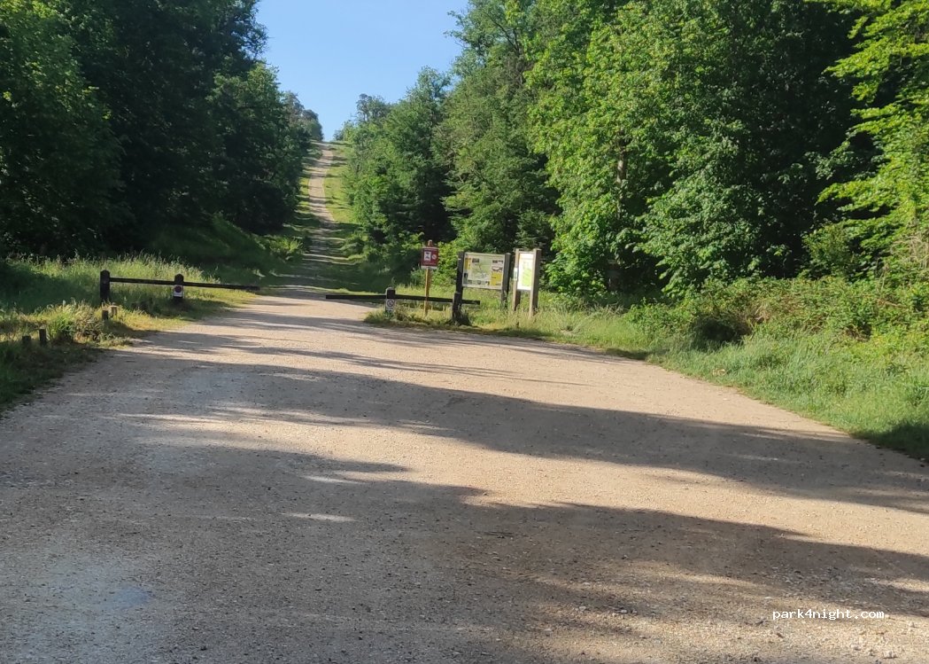 (77300) Fontainebleau - Avenue de Maintenon — foto