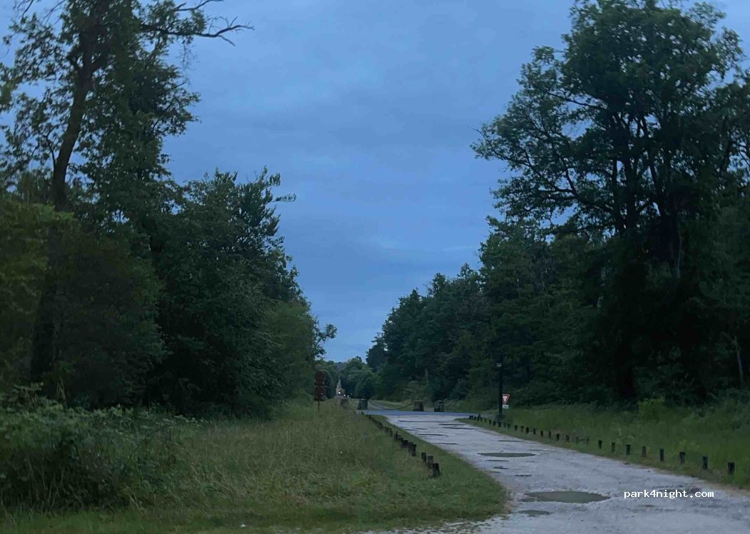 (77300) Fontainebleau - Avenue de Maintenon — foto 4