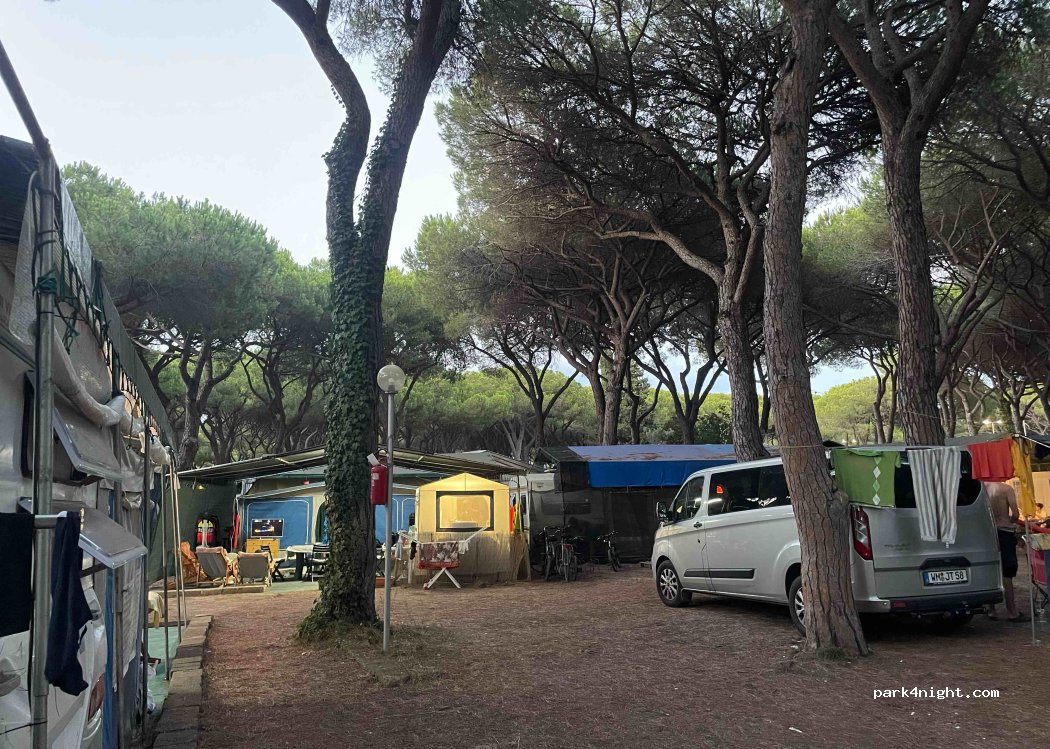 Camping Eden — foto 3