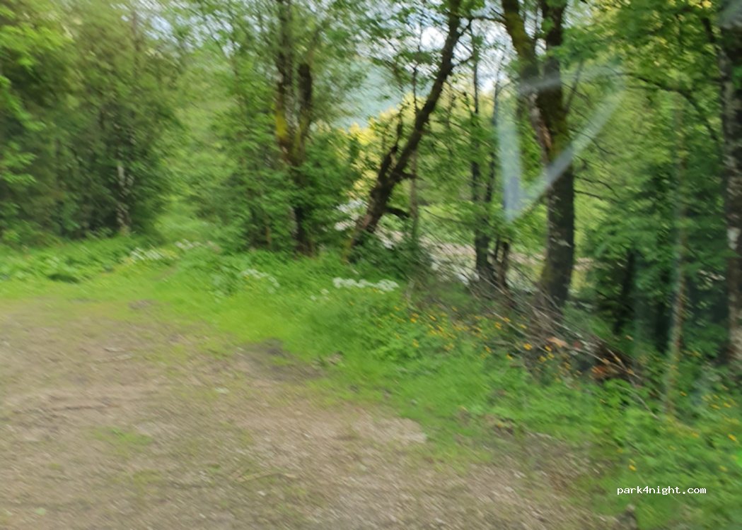 (3293) Lunz am See - Zellerrain Straße — foto