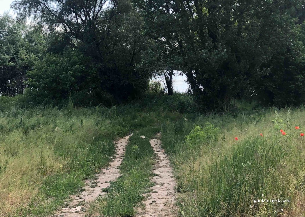 (275388) Mrđenovac - — foto 2