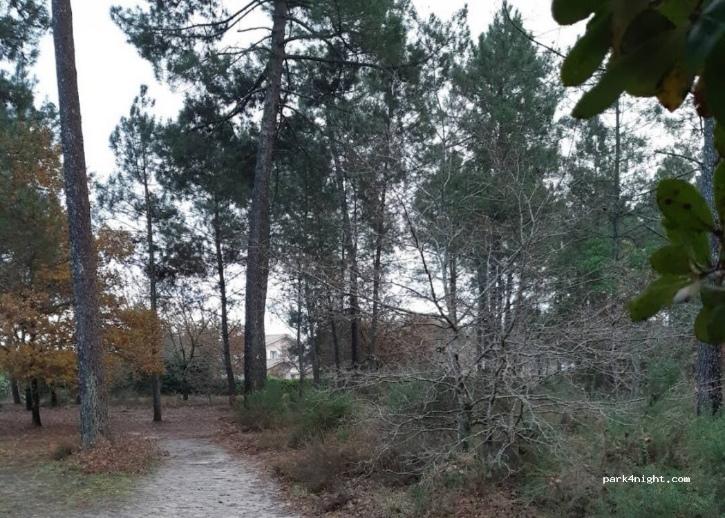(33160) Saint-Aubin-de-Médoc - Rte de la Serpentine — foto 3