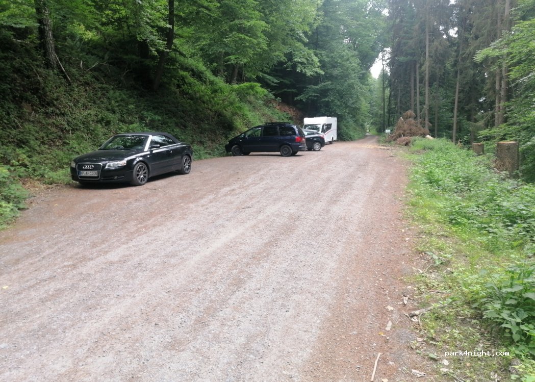 (69434) Hirschhorn (Neckar) - 17 Krautlachenweg — foto