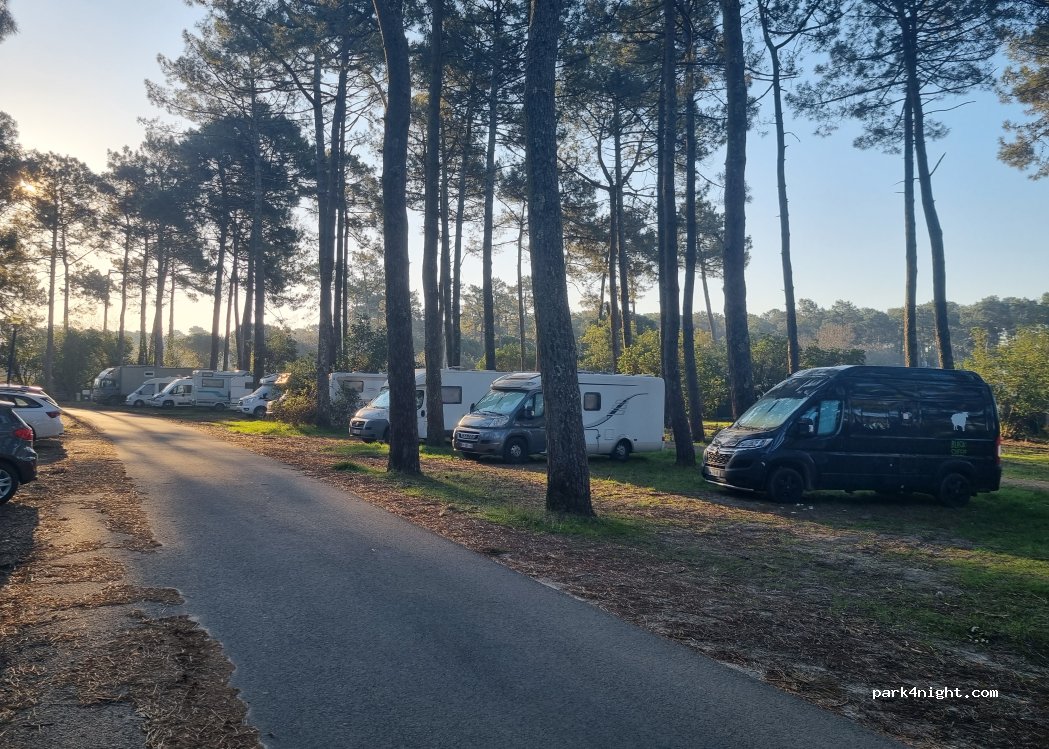 (33950) Lège-Cap-Ferret - 30 Avenue Edouard Branly — foto 5