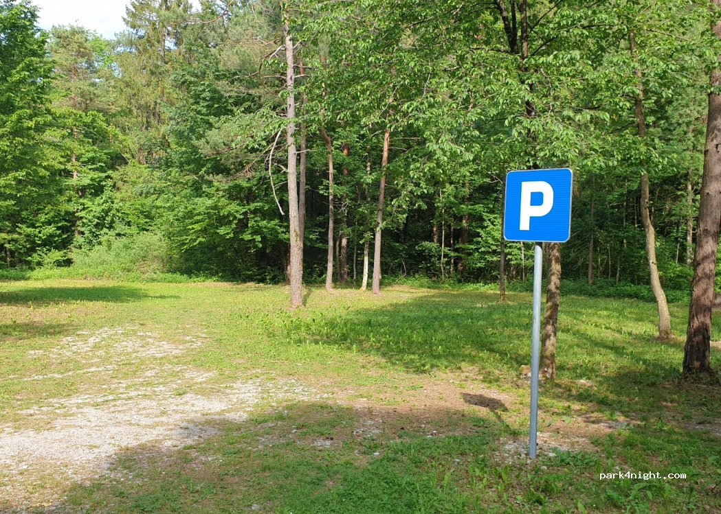 (1353) Borovnica - 17 Ohonica — foto