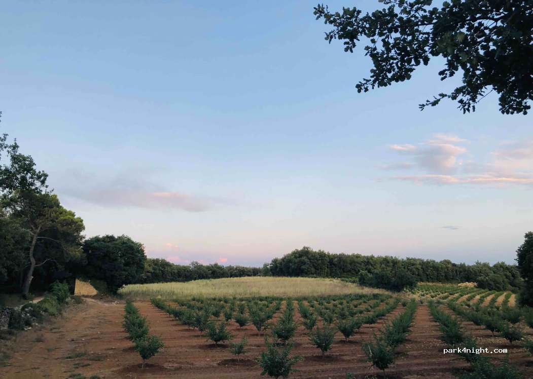 (30330) Cavillargues - 5063F Route d'Alès — foto 4