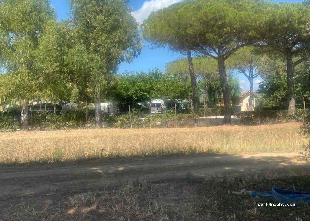 Podere Mortelliccio — foto 4